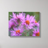 Wild Pink Asters Flower Art