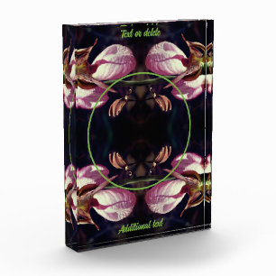 Wild Pink Lady Slipper Orchid Add Your Own  Photo Block