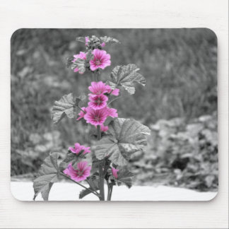 Wild Pink mouse pad
