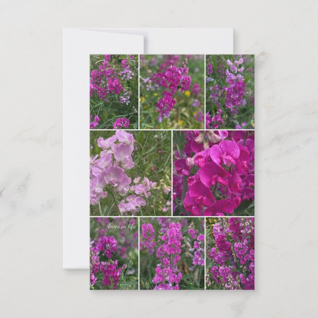 Wild Pink Pea Collage Card (Front)
