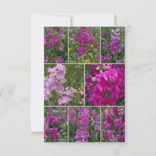 Wild Pink Pea Collage Card