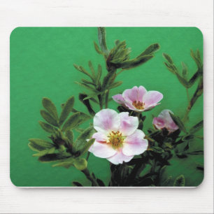 wild pink rose flowers in green, Elegant Mouse Mat