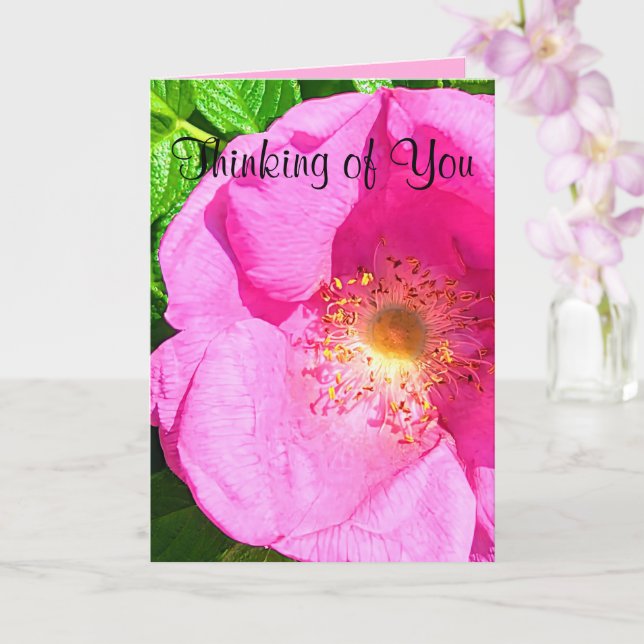 Wild Pink Rose Photo Trust in the Lord Bible Verse Card (Orchid)