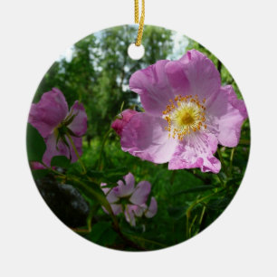 Wild Pink Roses in Alaska Ceramic Tree Decoration
