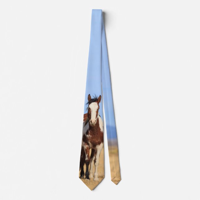 Wild Pinto Horse Tie (Front)