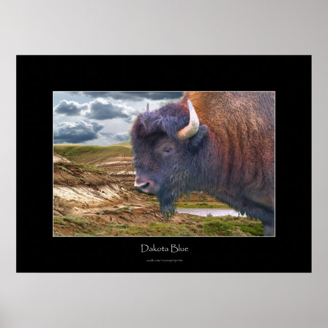 Wild Plains Buffalo Wildlife Art Poster (Front)