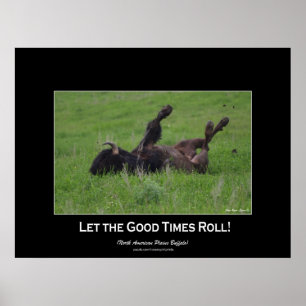 Wild Plains Bufffalo Rolling Wildlife (small size) Poster