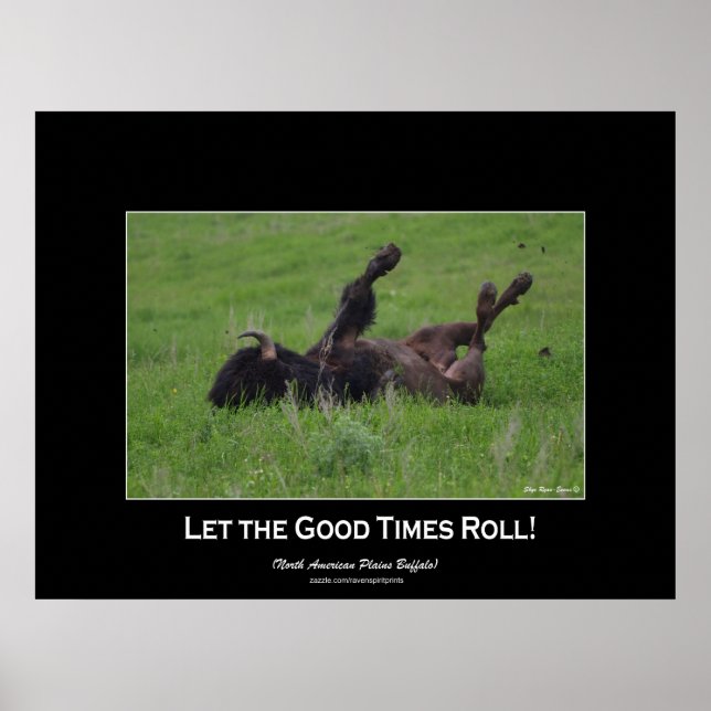 Wild Plains Bufffalo Rolling Wildlife (small size) Poster (Front)