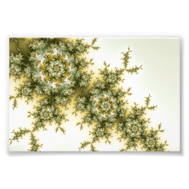 Wild Plant - Mandelbrot Fractal Art Photo Print (Front)