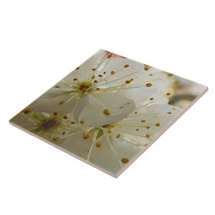 Wild Plum Blossoms Impressionist Art Tile