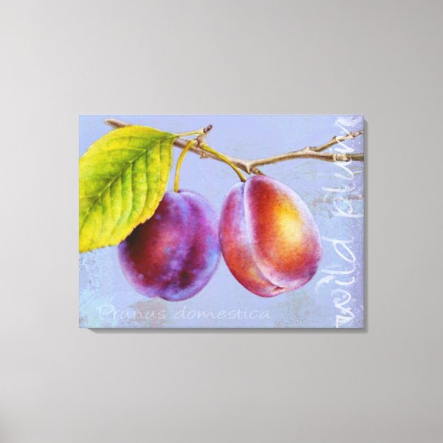 Wild plum - Prunus domestica canvas art mauve (Front)