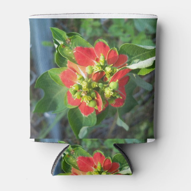 wild Poinsettia Can Cooler (Front)