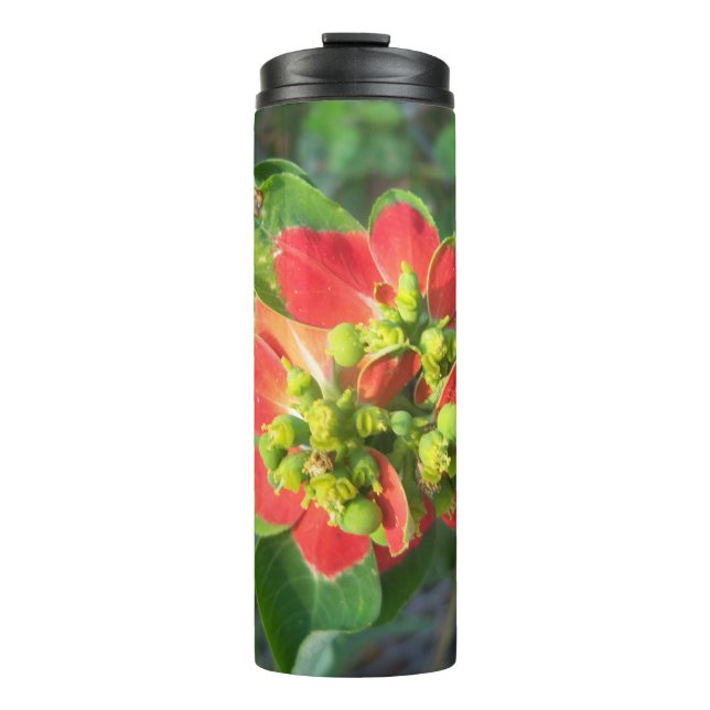 wild Poinsettia Thermal Tumbler (Front)