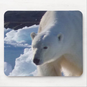 Wild Polar bear in Svalbard, (Spitsbergen) Mouse Mat