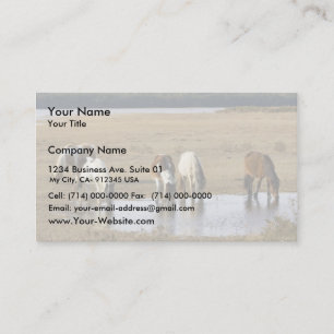 Wild pony business card