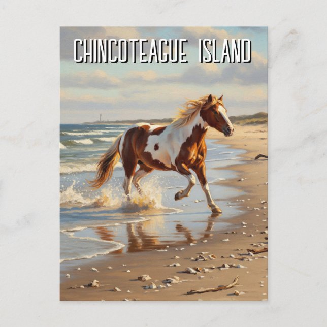 Wild Pony in Chincoteague Island Virginia Travel Postcard (Front)