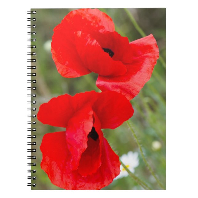 Wild poppies notebook (Front)