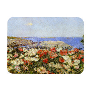 Wild Poppies on the Isles of Shoals Magnet