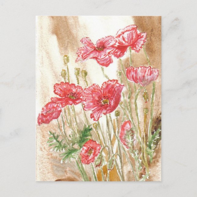 'Wild Poppies' Postcard (Front)