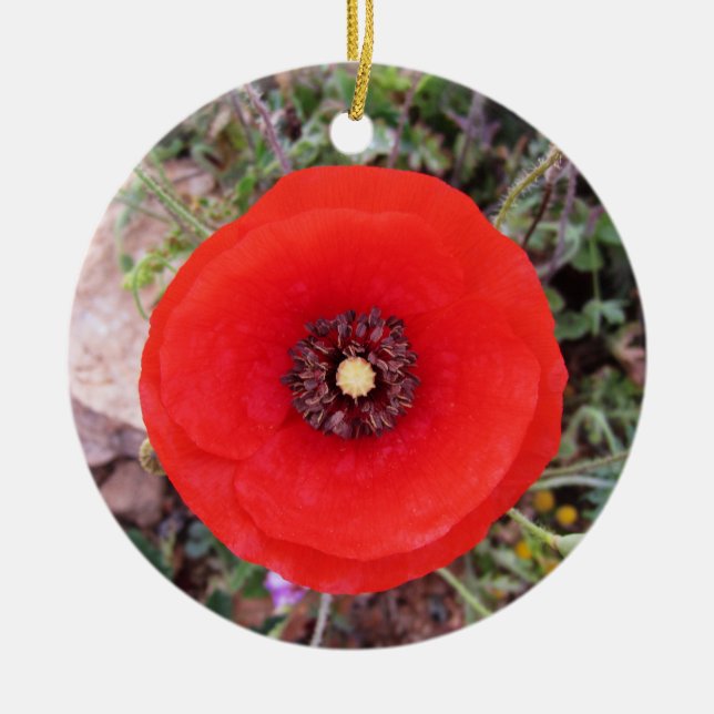 Wild Poppy Ceramic Tree Decoration (Front)