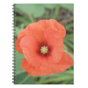 Wild Poppy Flower Notebook
