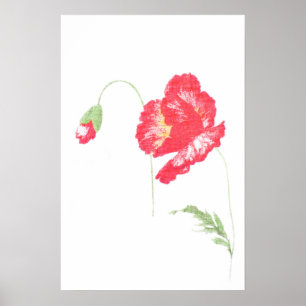 Wild poppy flower poster