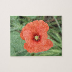 Wild Poppy Flower Puzzle
