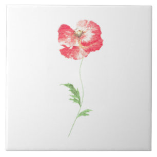 Wild poppy flower tile