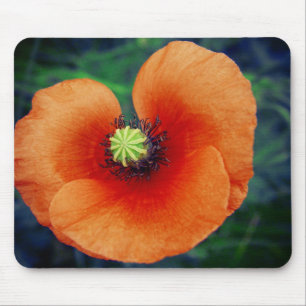 Wild Poppy Macro Photography Mousepad