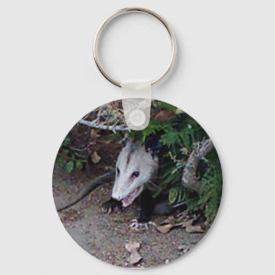 Wild Possum Key Ring