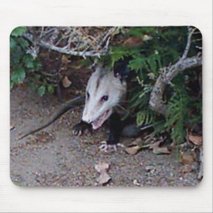 Wild Possum Mouse Mat