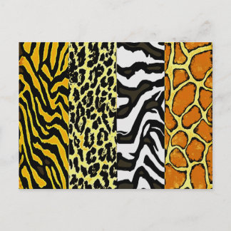 WILD POSTCARD
