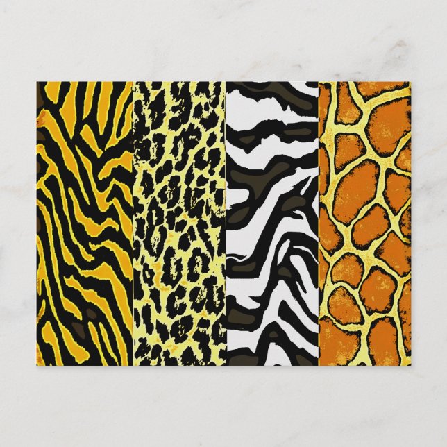 WILD POSTCARD (Front)