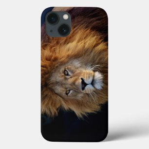 Wild Predator Lion with Mane iPhone 13 Case