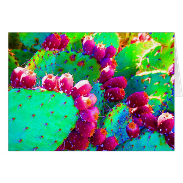 Wild Prickly Pears (Front Horizontal)