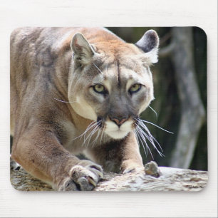 Wild Puma Mouse Mat