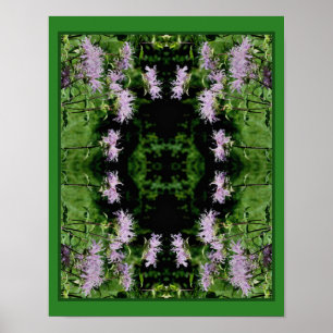 Wild Purple Bee Balm Abstract  Poster