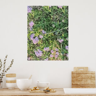 Wild Purple Flowers in Natural Garden Setting Poster
