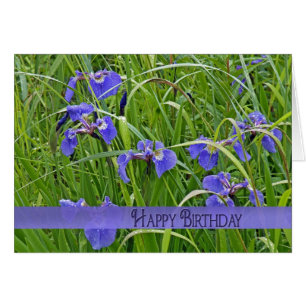 Wild Purple Iris
