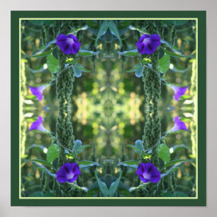 Wild Purple Morning Glory Flowers Abstract Poster