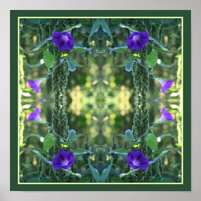 Wild Purple Morning Glory Flowers Abstract Poster (Front)