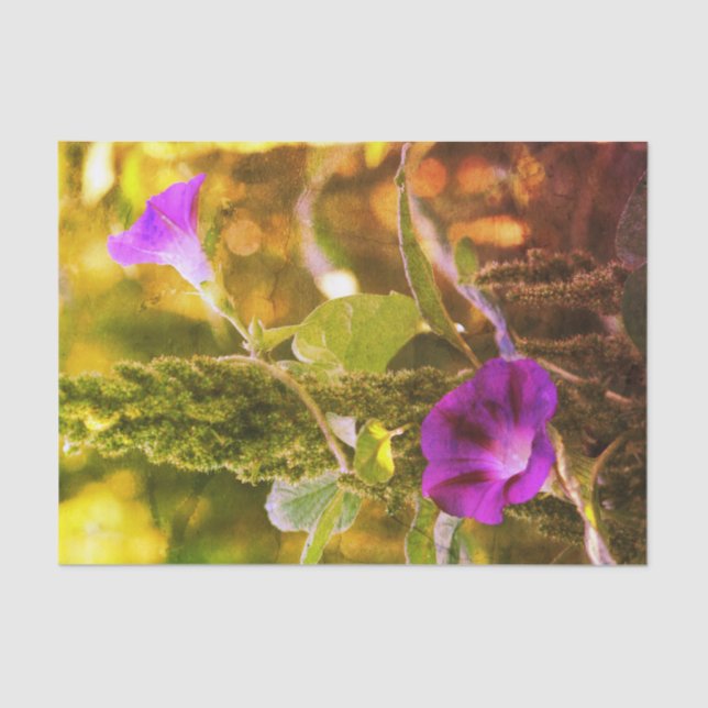 Wild Purple Morning Glory Flowers Decoupage Tissue Paper (Front)