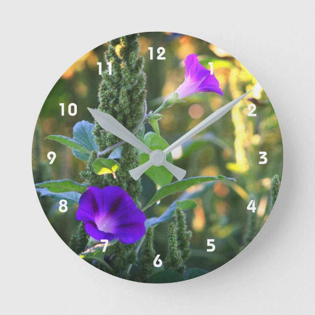 Wild Purple Morning Glory Flowers  Round Clock (Front)
