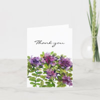 Wild purple thyme flowers