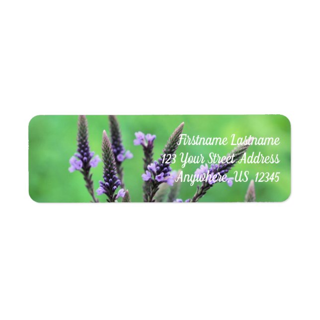Wild Purple Vervain Flower Address (Front)