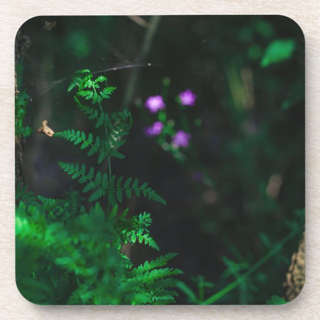 Wild Purple Water Forest Flowers Fern Coaster (Front)