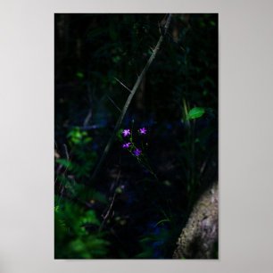 Wild Purple Water Forest Flowers Fern  Poster
