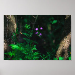 Wild Purple Water Forest Flowers Fern Poster