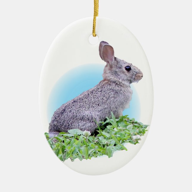 Wild Rabbit Ceramic Tree Decoration (Front)