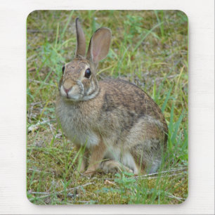Wild Rabbit Eastern Cottontail Apparel and Gifts Mouse Mat